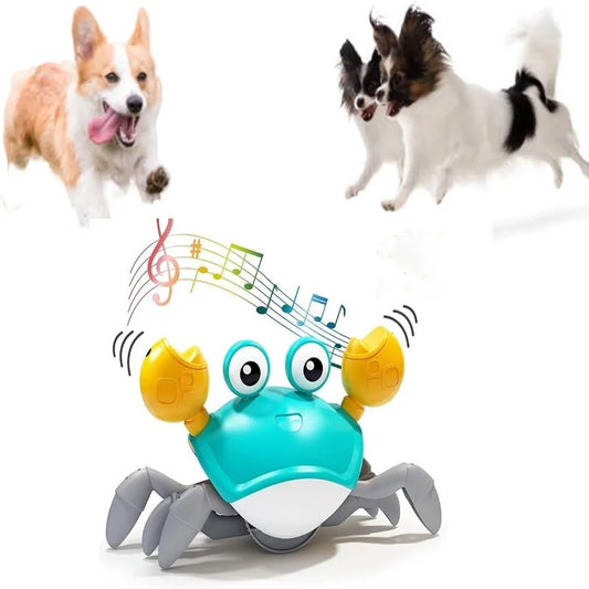 Dancing Crab Dog Toy