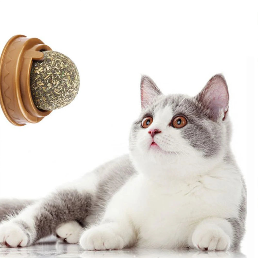 Rotatable Catnip Molar Stick Natural Safe Catnip Edible Lick Balls Catnip Wall Balls for Cats Teeth Cleaning Pet Health Supplies