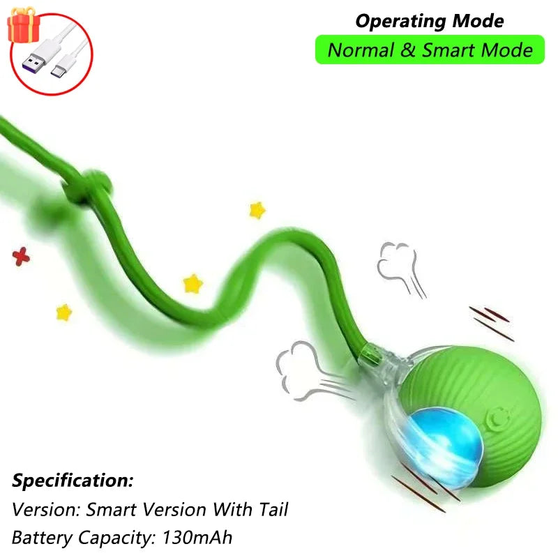 Cat Interactive Ball Toy,