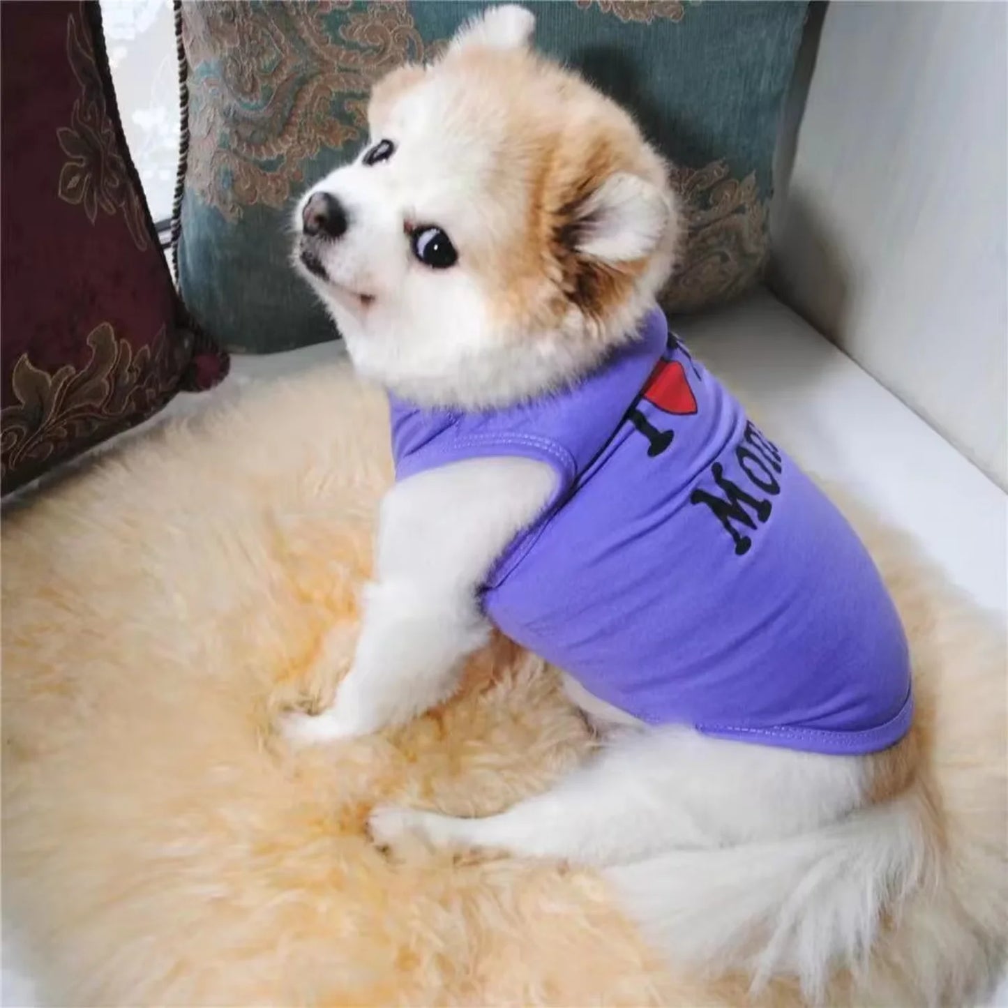 Pets tshirt
