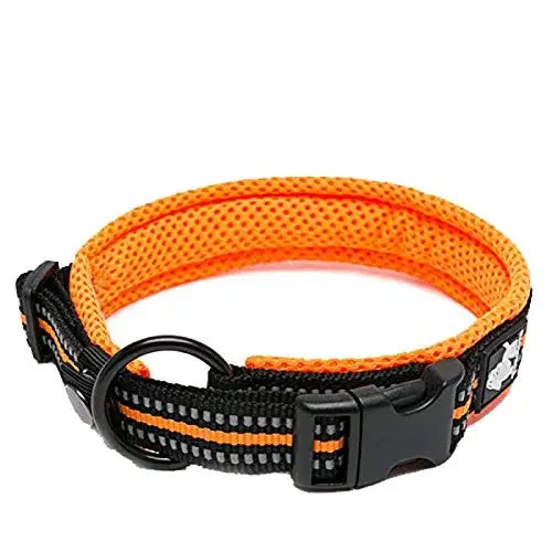 Dog Collar