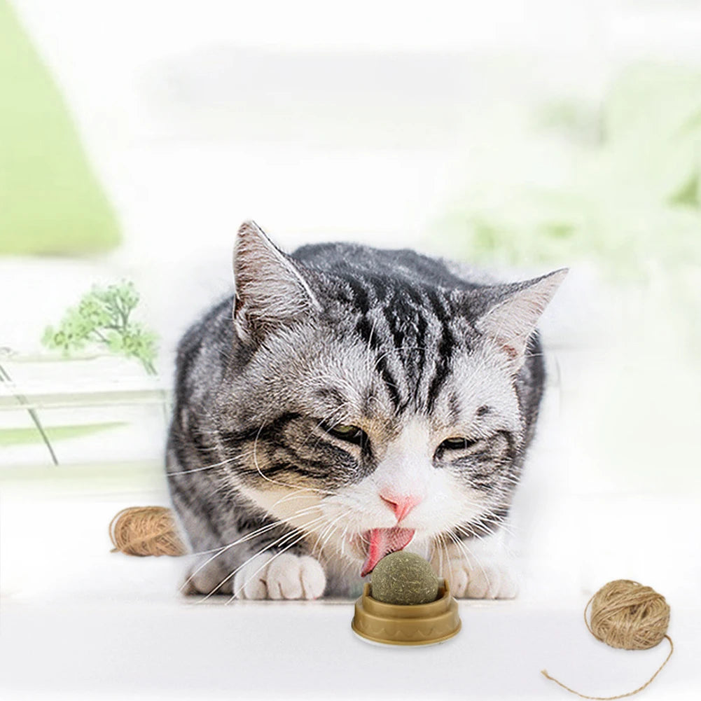 Rotatable Catnip Molar Stick Natural Safe Catnip Edible Lick Balls Catnip Wall Balls for Cats Teeth Cleaning Pet Health Supplies