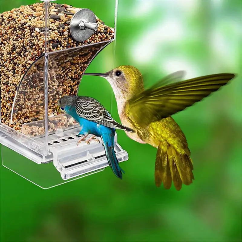 Acrylic Bird Feeders
