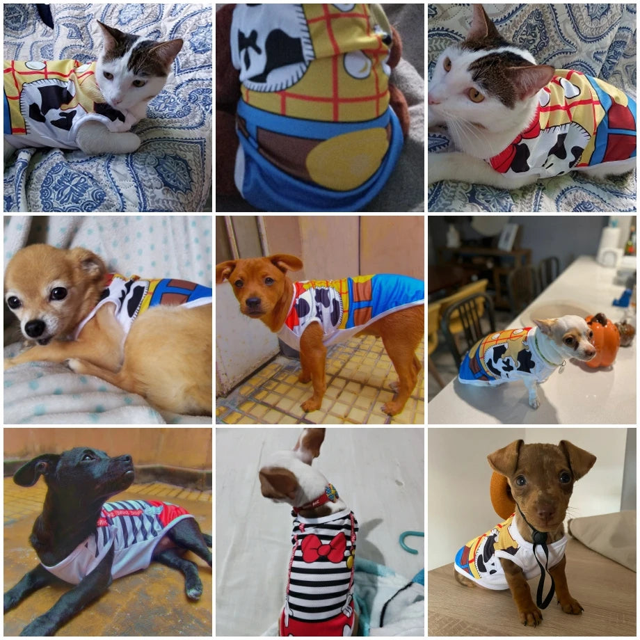 Quick-drying Yorkie Dog Vest Dog Tank Top