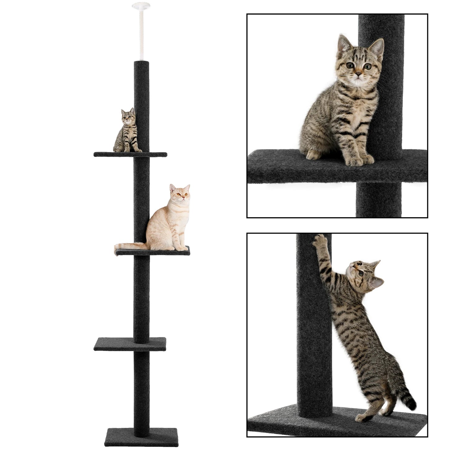 Cat Tree for Indoor