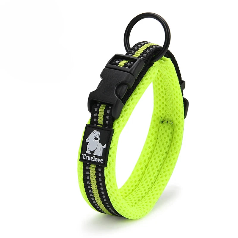 Dog  Collar