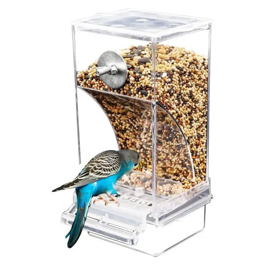 Acrylic Bird Feeders