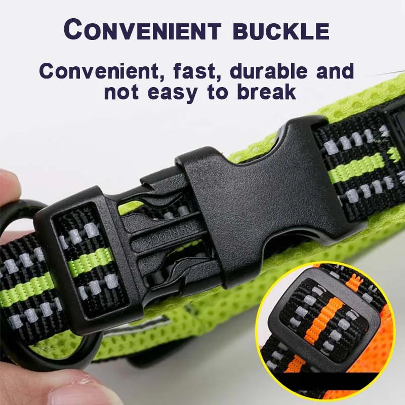 Dog  Collar