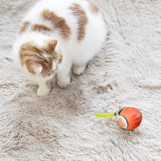 Indoor Cat Interactive Ball Automatic Touch