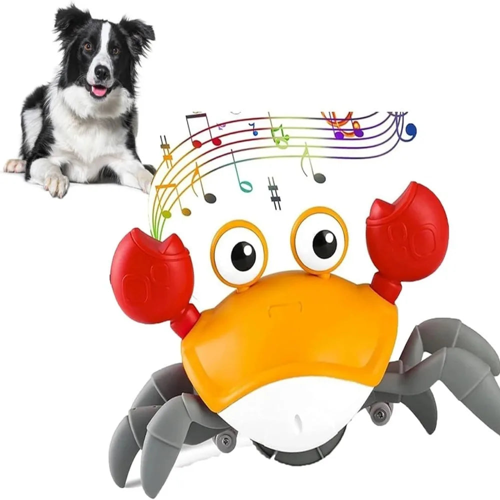 Dancing Crab Dog Toy