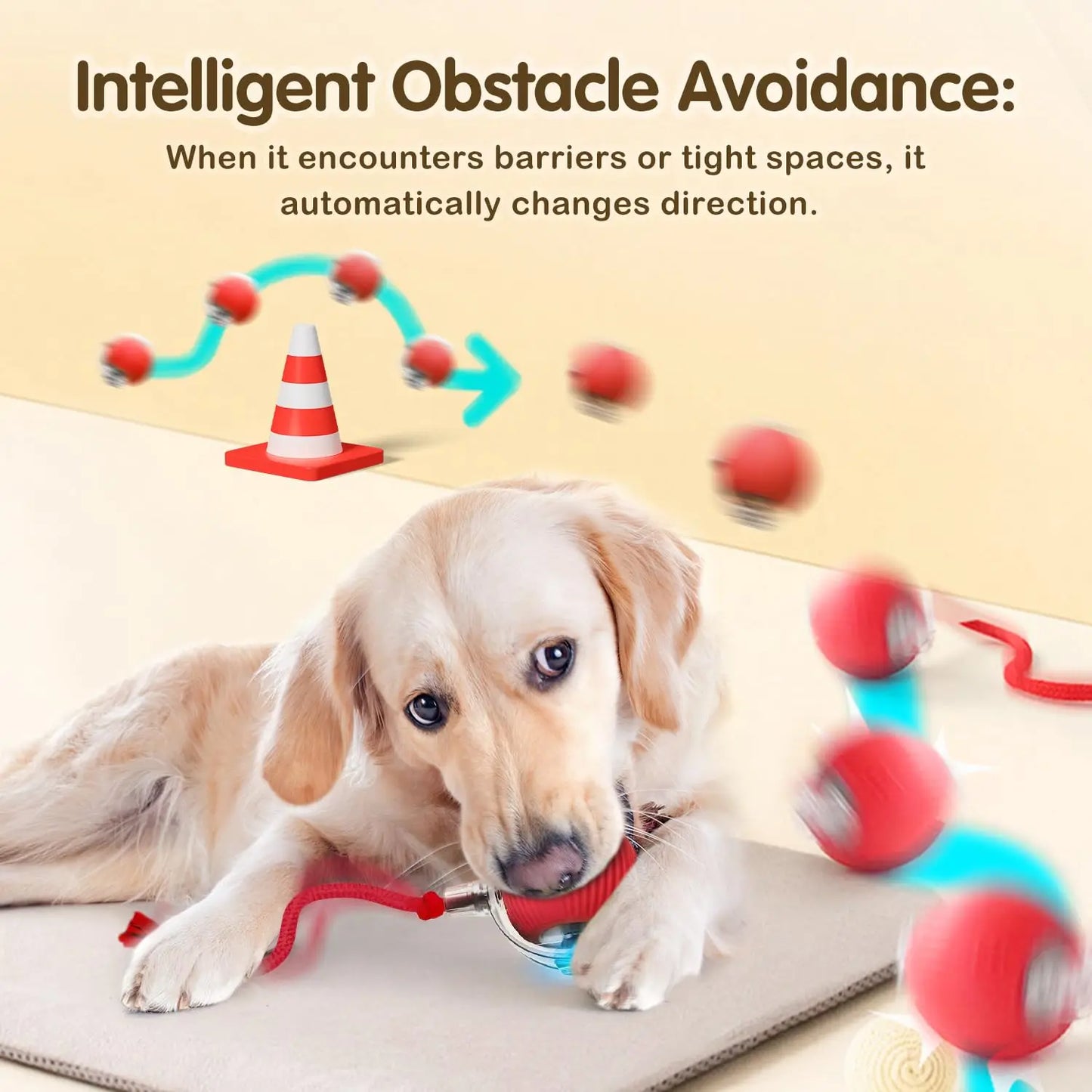 Cat Interactive Ball Toy,