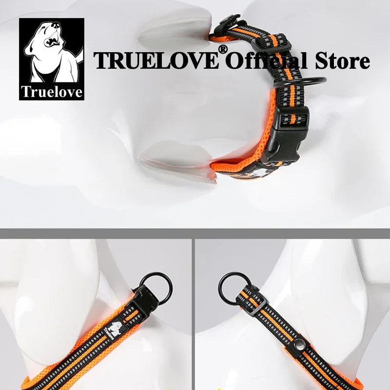 Dog Collar