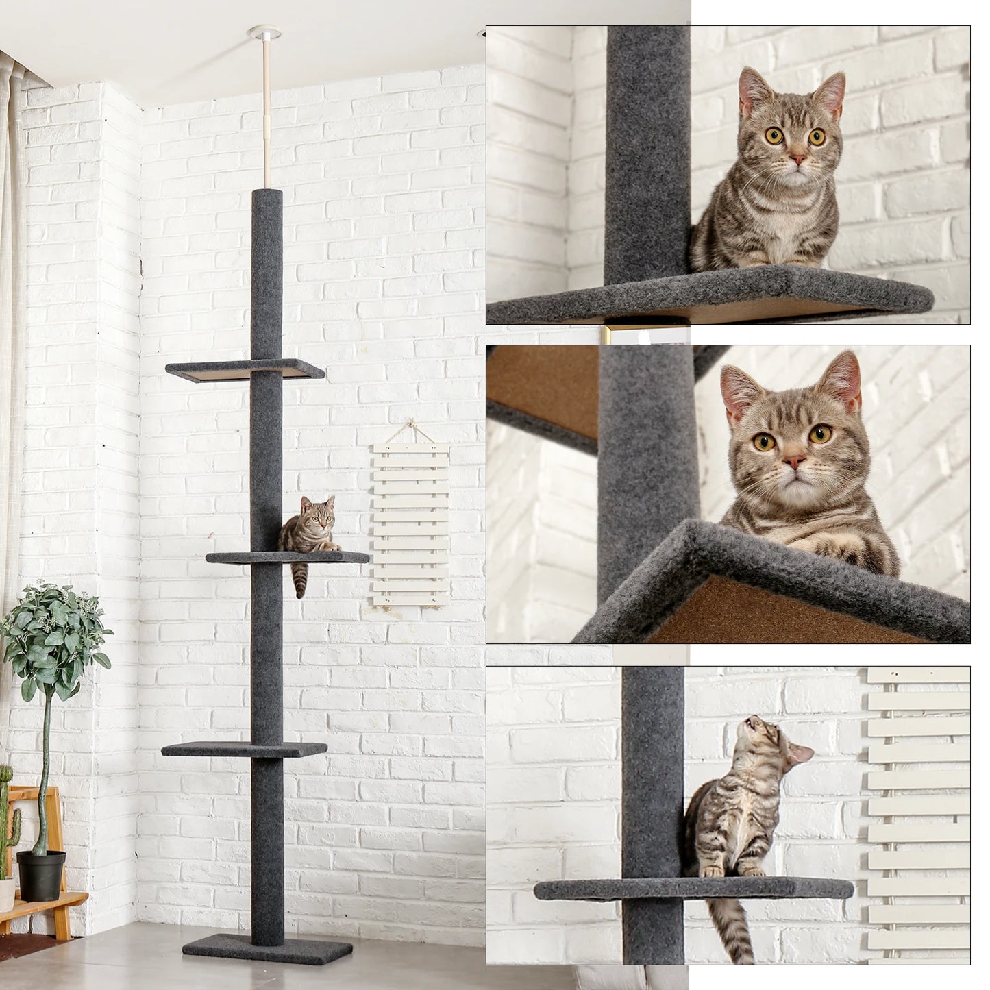 Cat Tree for Indoor