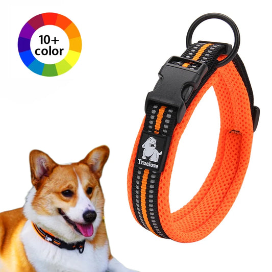 Dog  Collar