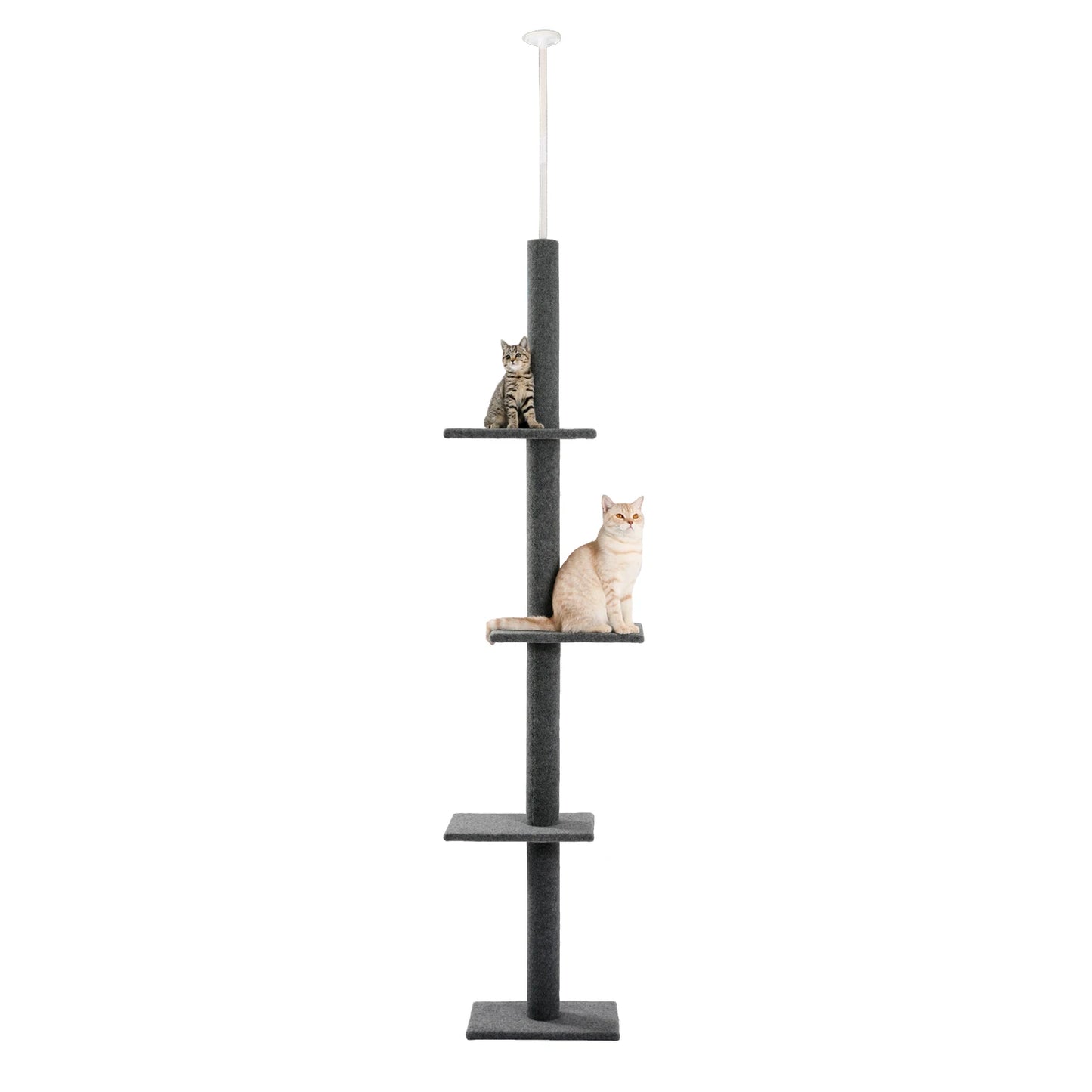 Cat Tree for Indoor