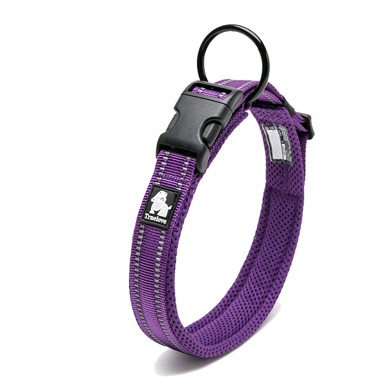 Dog  Collar