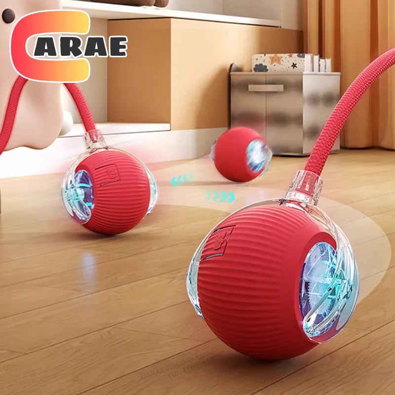 Cat Interactive Ball Toy,