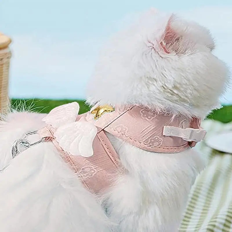 Kitten Harness Leads And Collars Set