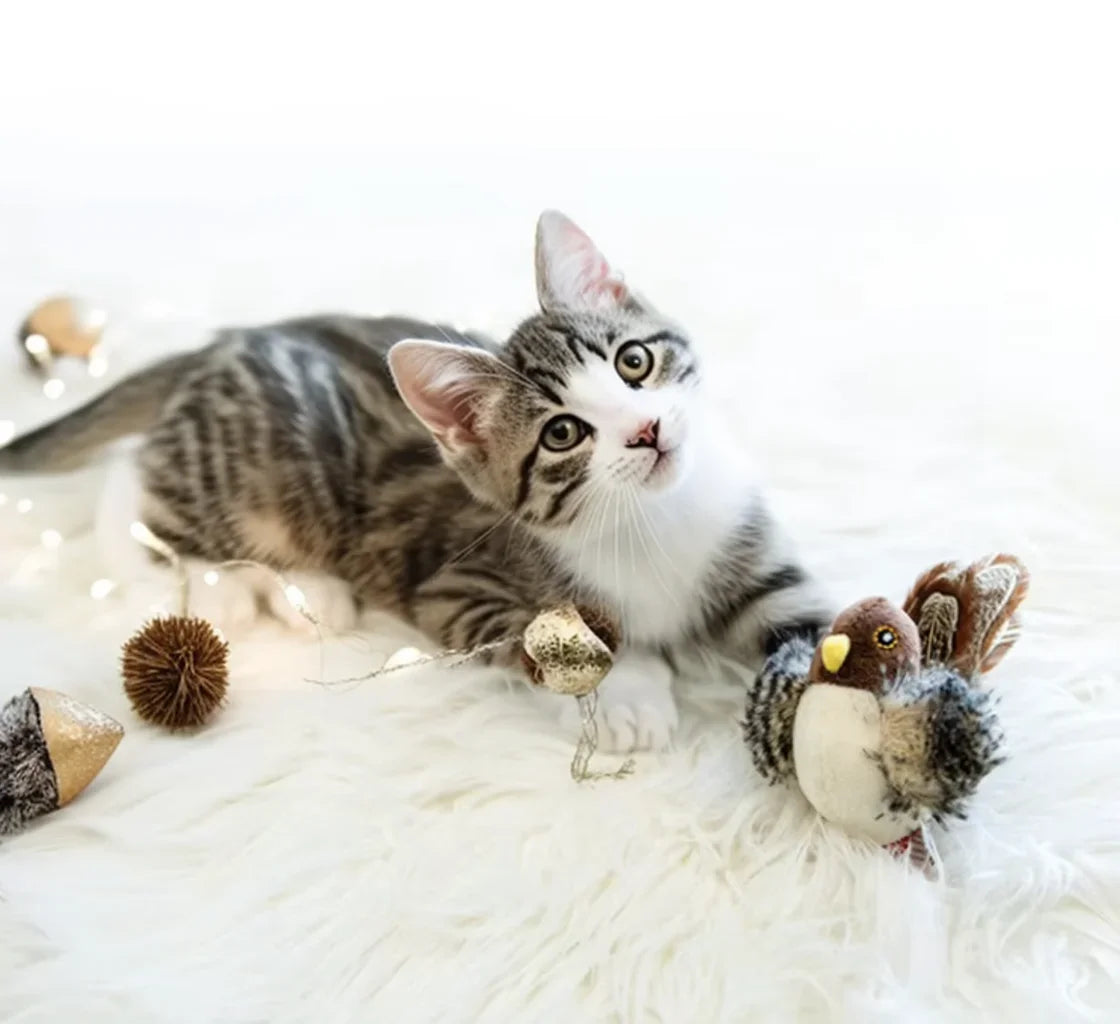 Flapping Bird Cat Toy