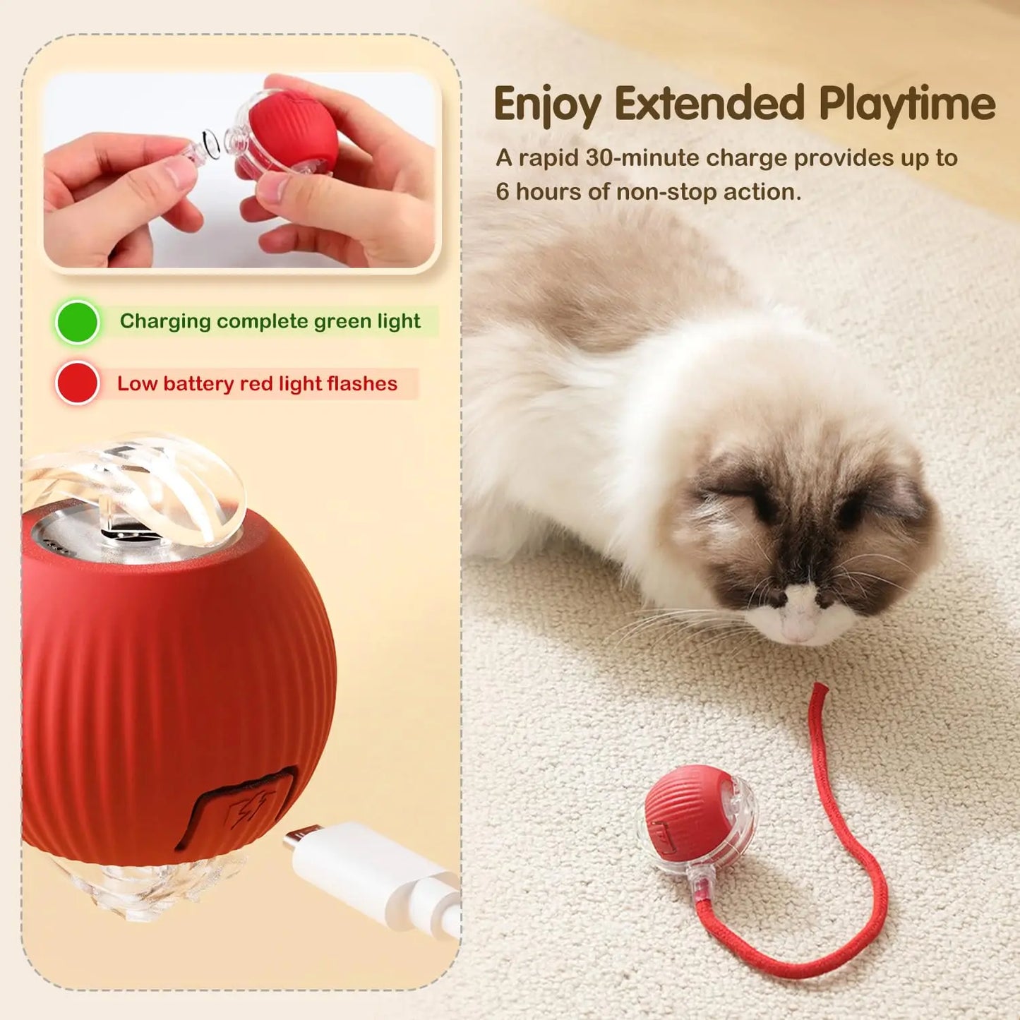 Cat Interactive Ball Toy,