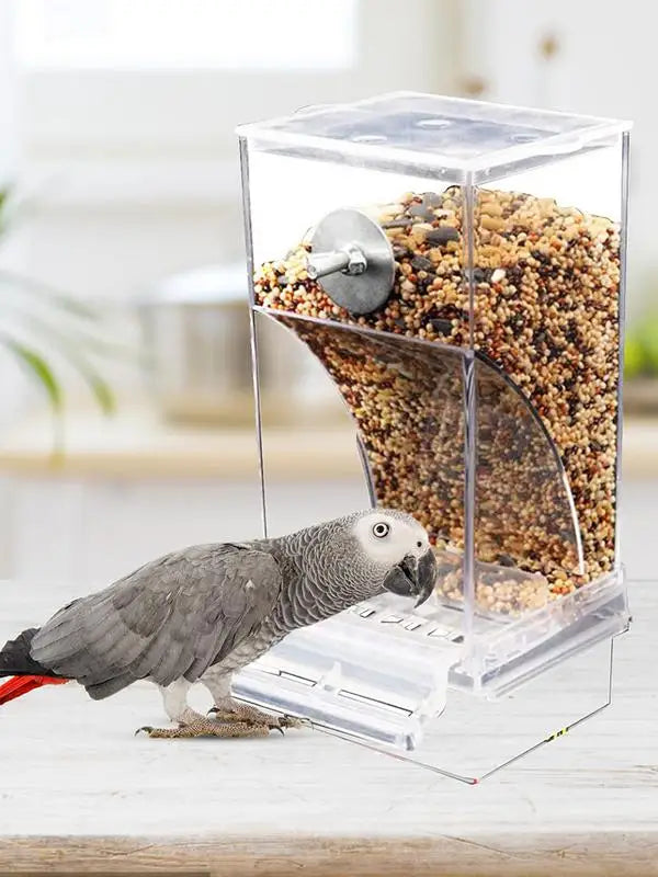 Acrylic Bird Feeders
