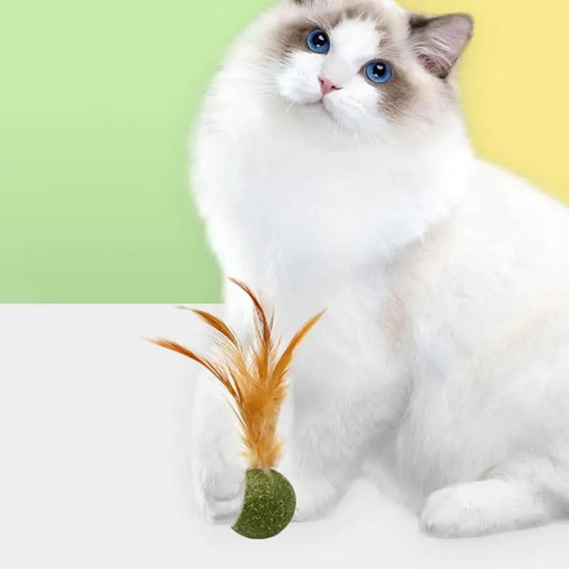 Cat Toys Catnip