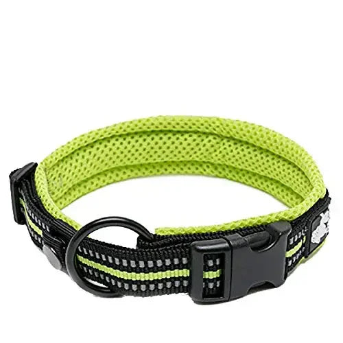 Dog Collar
