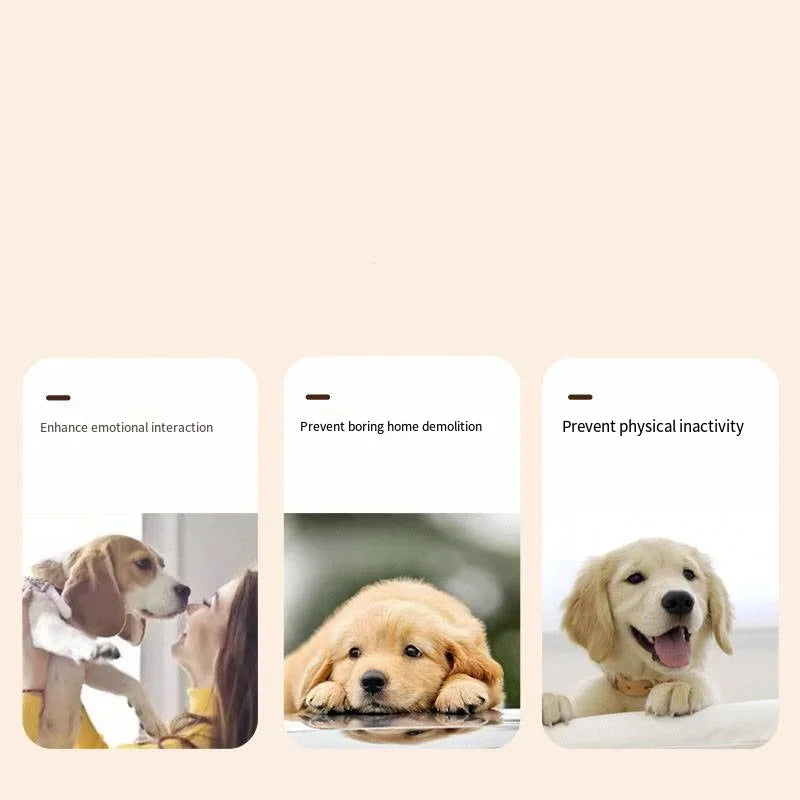 Dog Communication Buttons