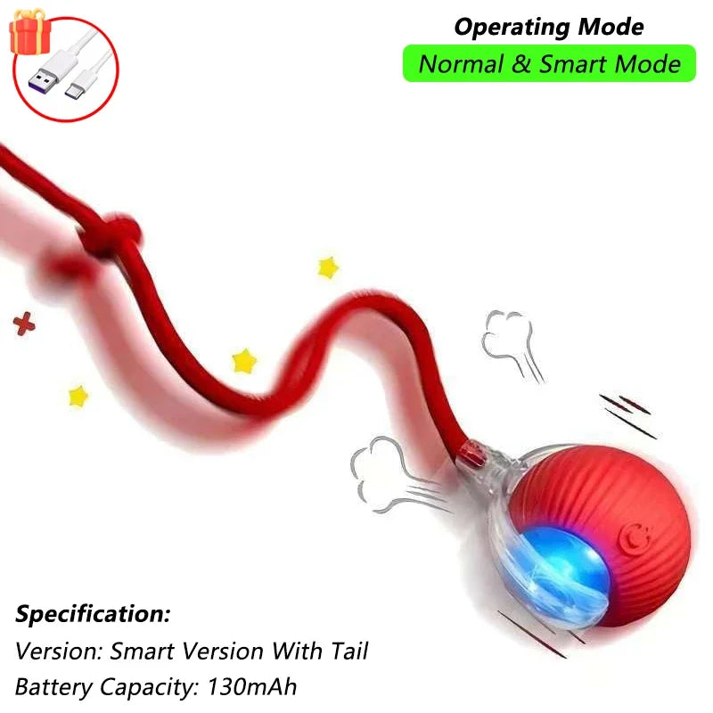 Cat Interactive Ball Toy,