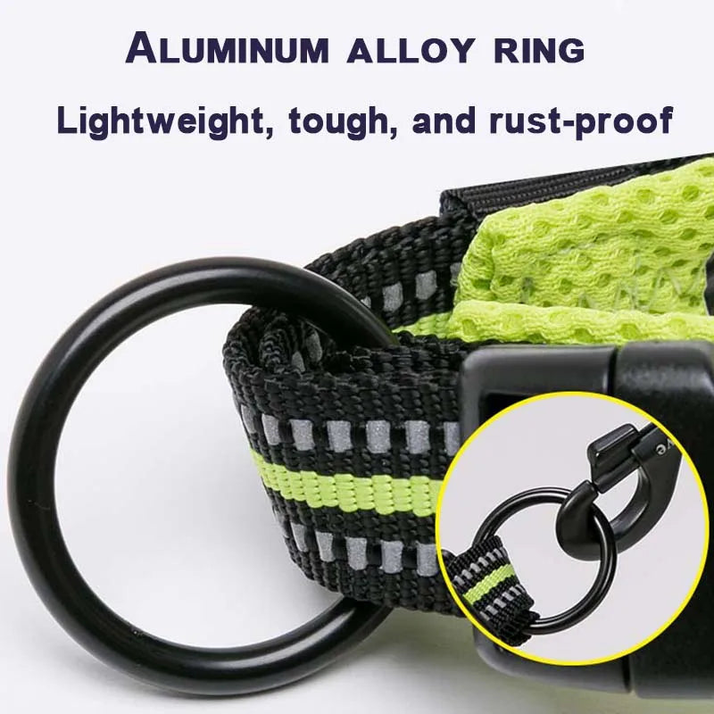 Dog  Collar