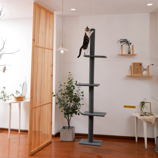 Cat Tree for Indoor