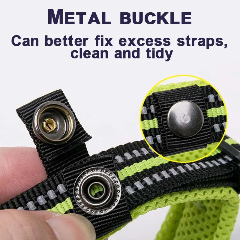 Dog  Collar