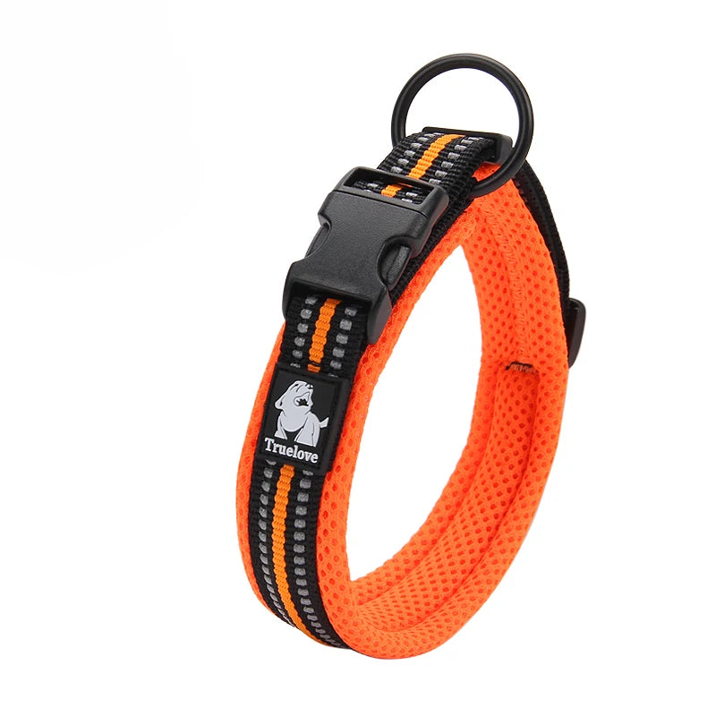 Dog  Collar