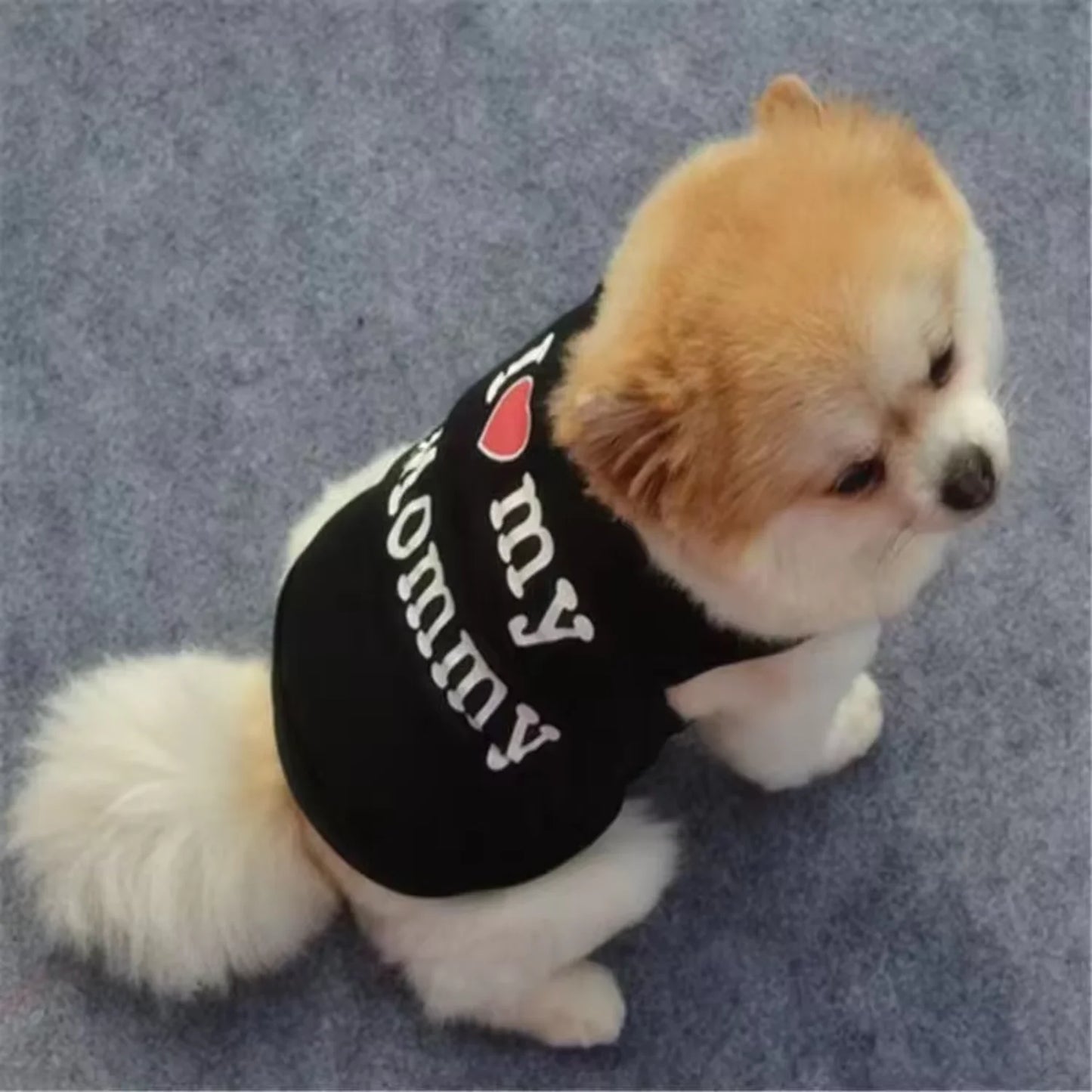 Pets tshirt