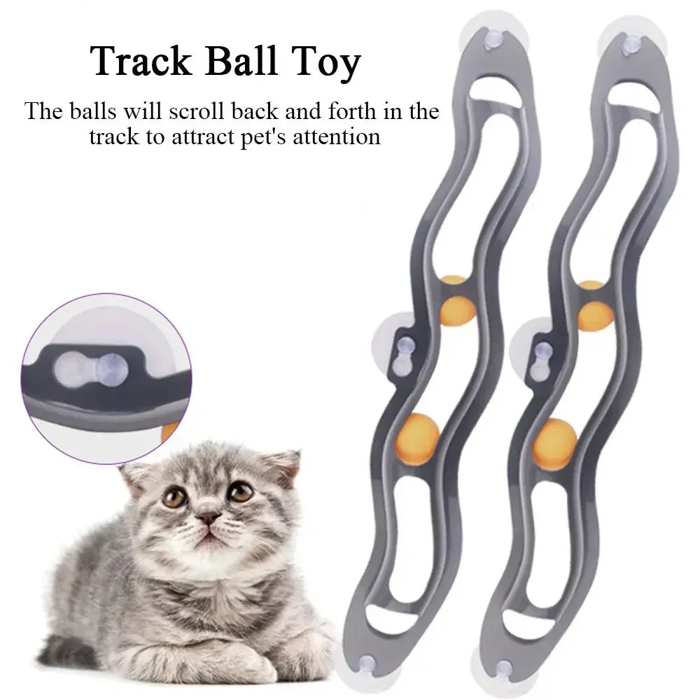 Cat Toy Track Ball