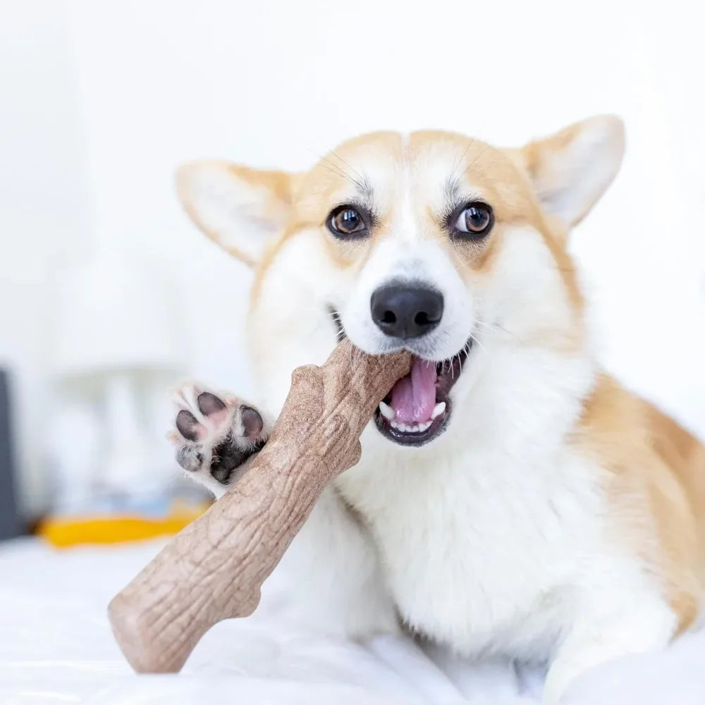 Dog Chew Toy