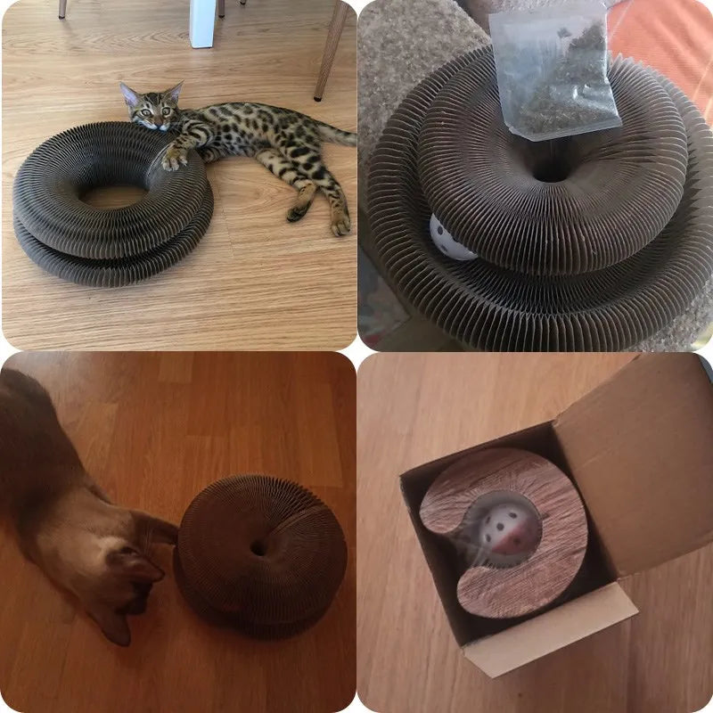 Foldable Magic Organ Cat Scratcher