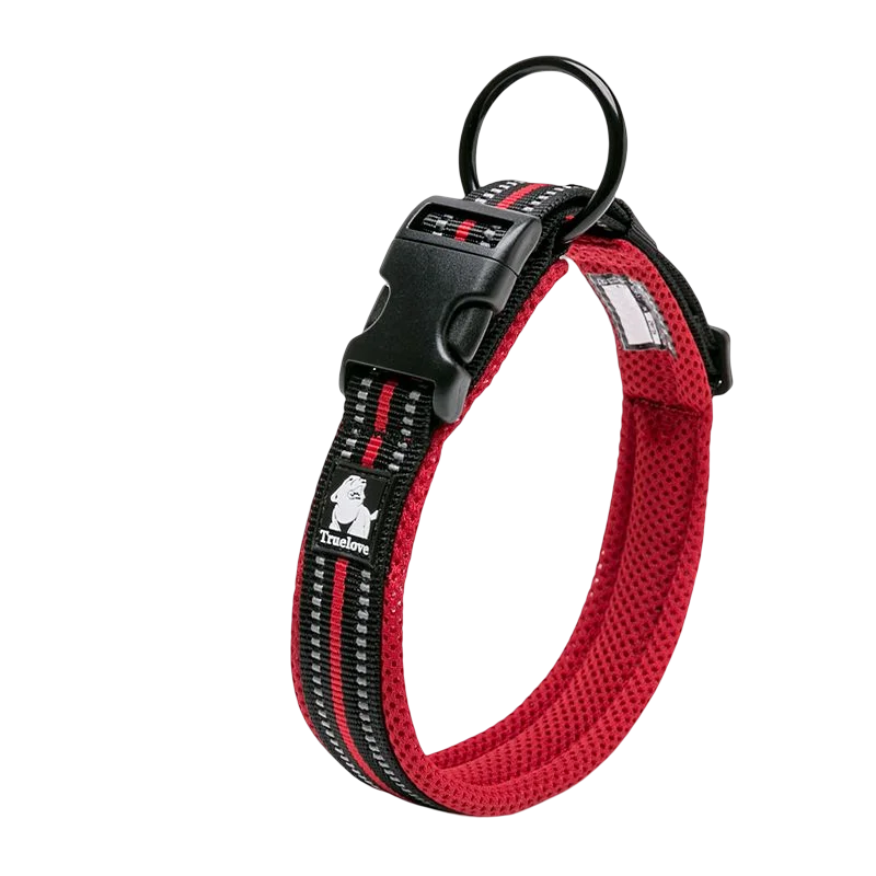 Dog  Collar