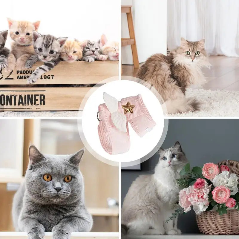 Kitten Harness Leads And Collars Set