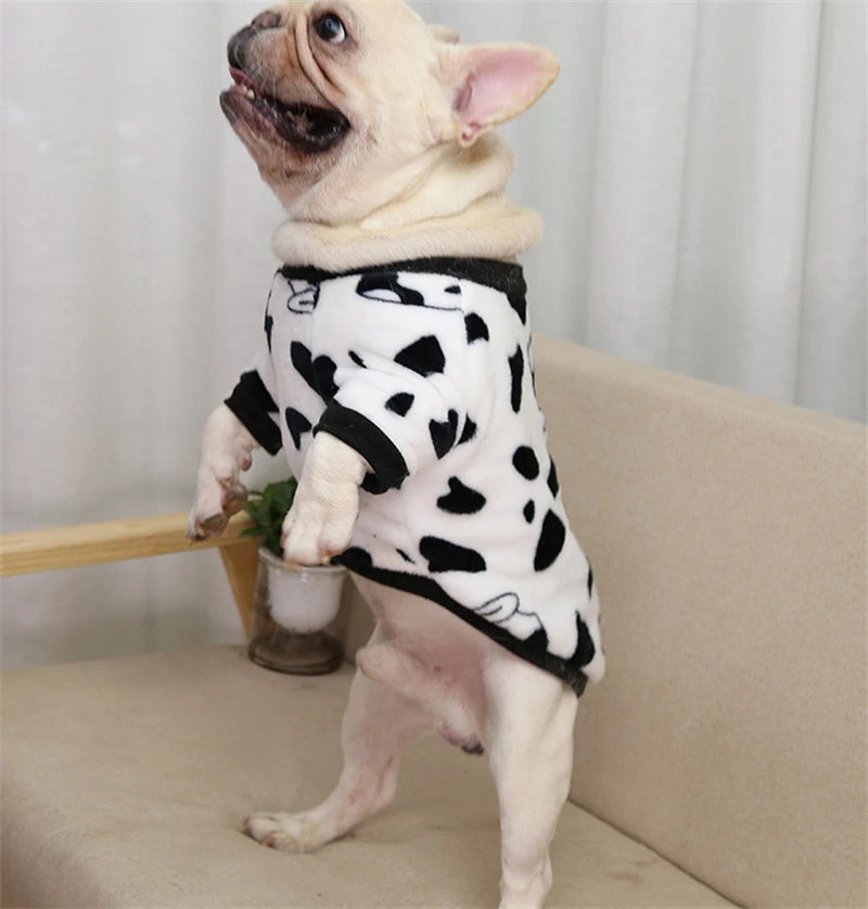 Lovely Leopard Pet Dog Clothes