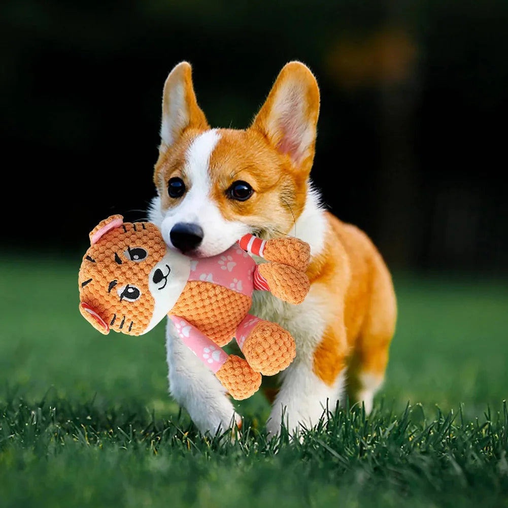 Squeaky Dog Toys Dog Plush Toy